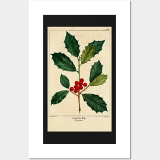christmas post card mistletoe berries green american holly Posters and Art